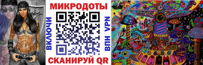 Купить закладки  Новозыбков  Псилоцибиновые грибы GOLDEN TEACHER 